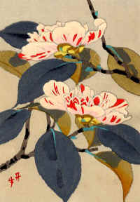 fleur.jpg (52582 octets)